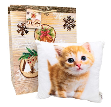 Geschenkset Kuschelkissen
